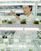 品种核定属于行政办理行